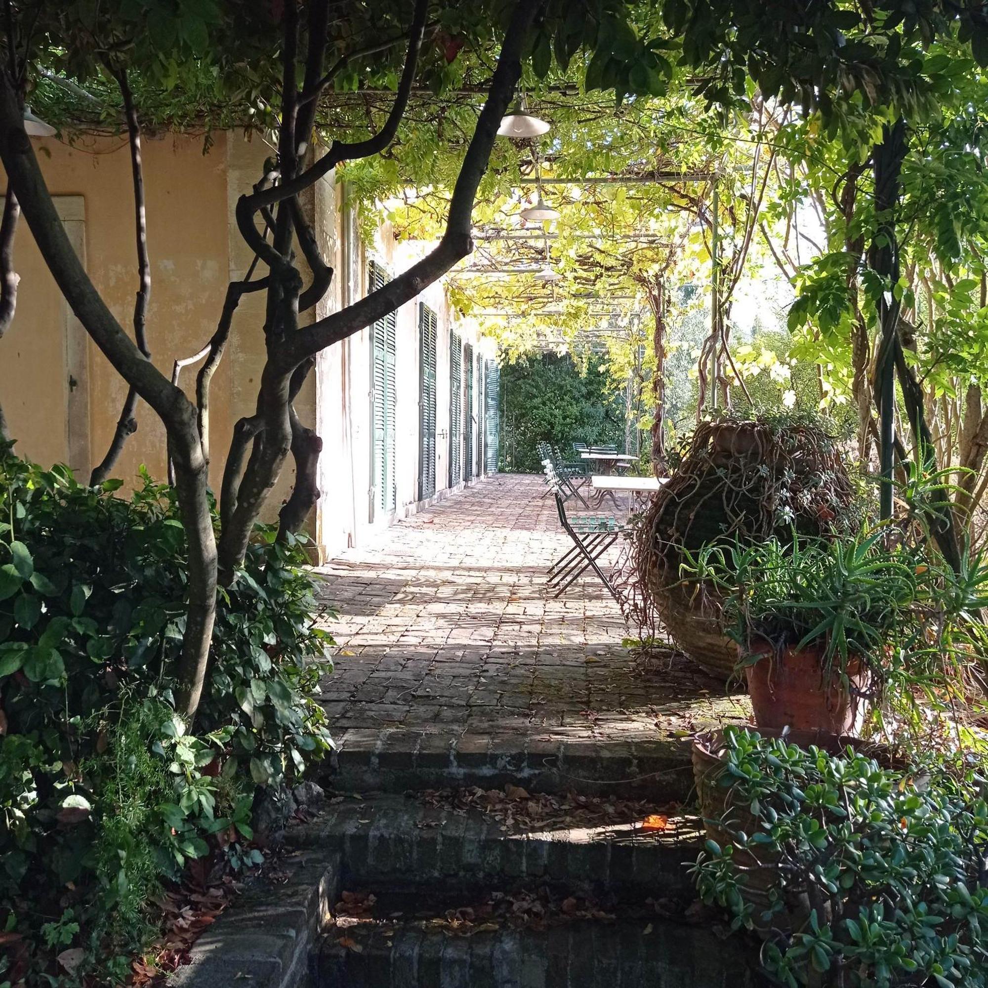 Alepou Villa Kefalomandouko المظهر الخارجي الصورة